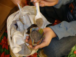 A little paper pot ready for planting.