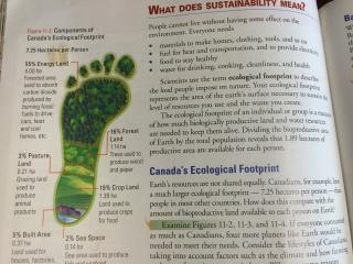Archbishop O'Leary High School - Ecological Footprint Archbishop O'Leary High School - Ecological Footprint