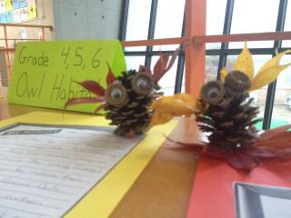 Owl Habitat and pinecone craft