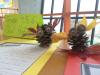 Owl Habitat and pinecone craft
